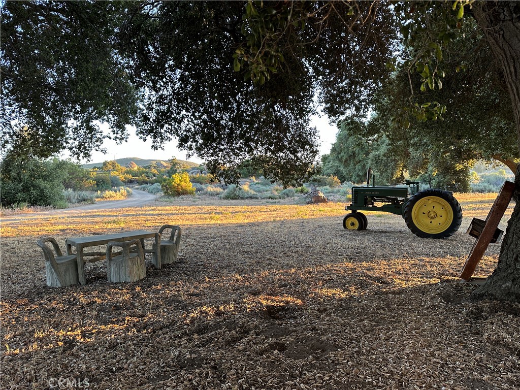 29820 Chihuahua Valley Road Warner Springs, CA 92086 - Photo 68 of 75 a view of a yard with an outdoor space