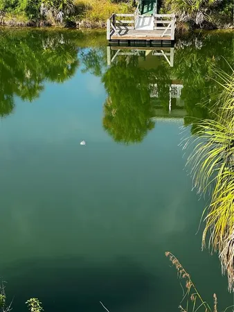 a backyard of a house with lots of green space and plants