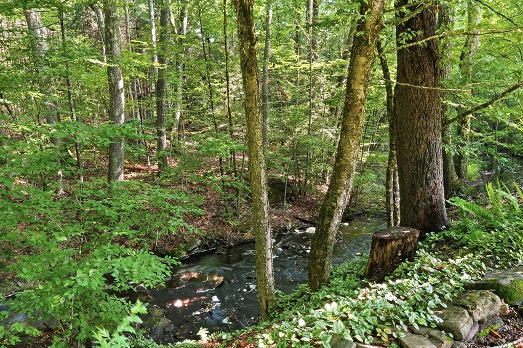 43 Birches Road Hubbardston, MA 01452 - Photo 33 of 41 Gallery Image 33