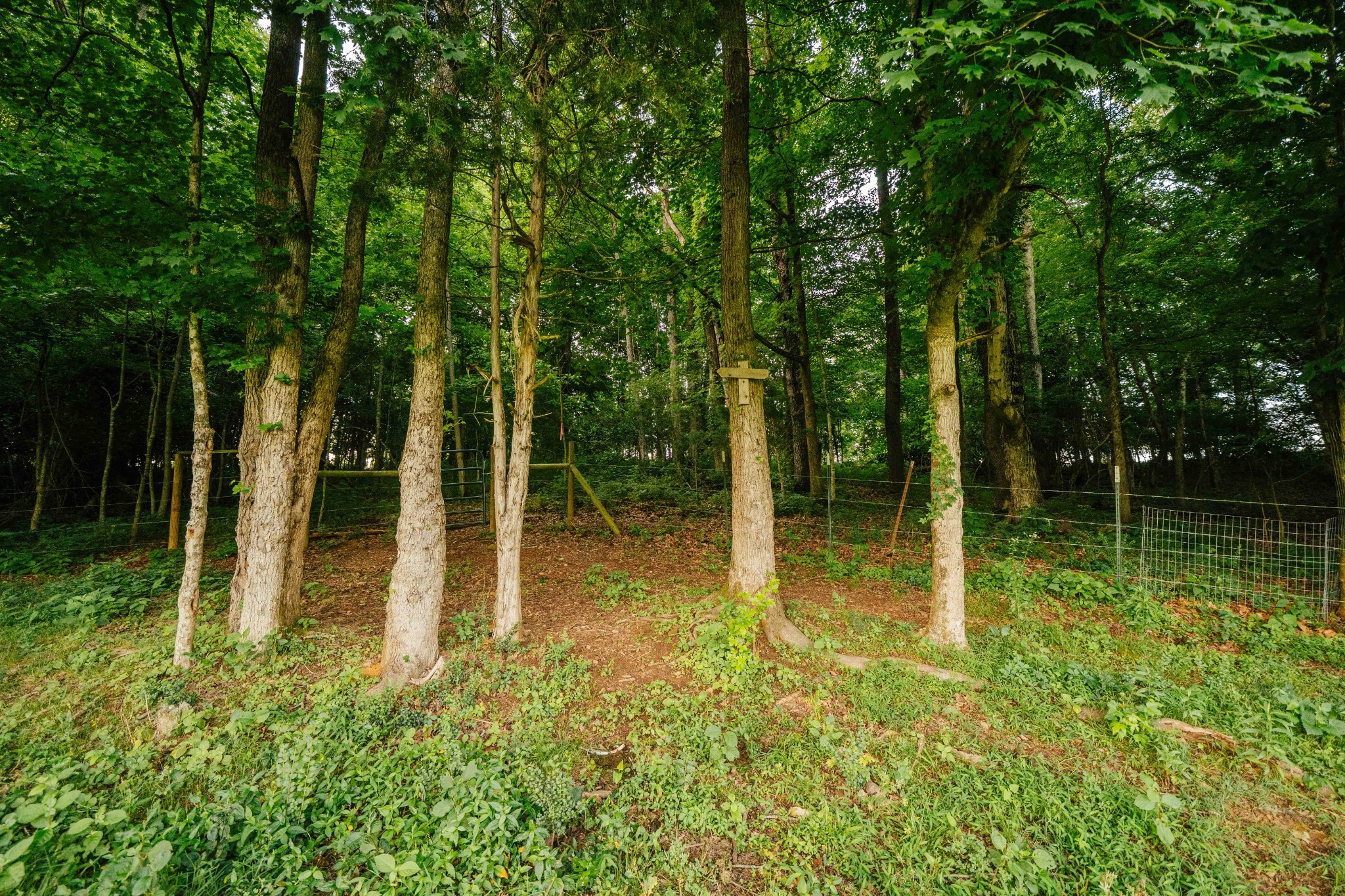500 Case Road Prospect, TN 38477 - Photo 77 of 98