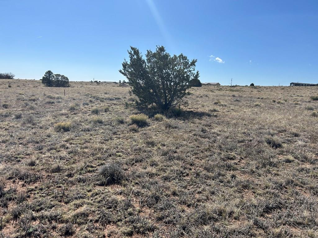 Lot 94 Navajo Ranch Walsenburg, CO 81089 - Photo 7 of 15 a view of a dry yard with a mountain
