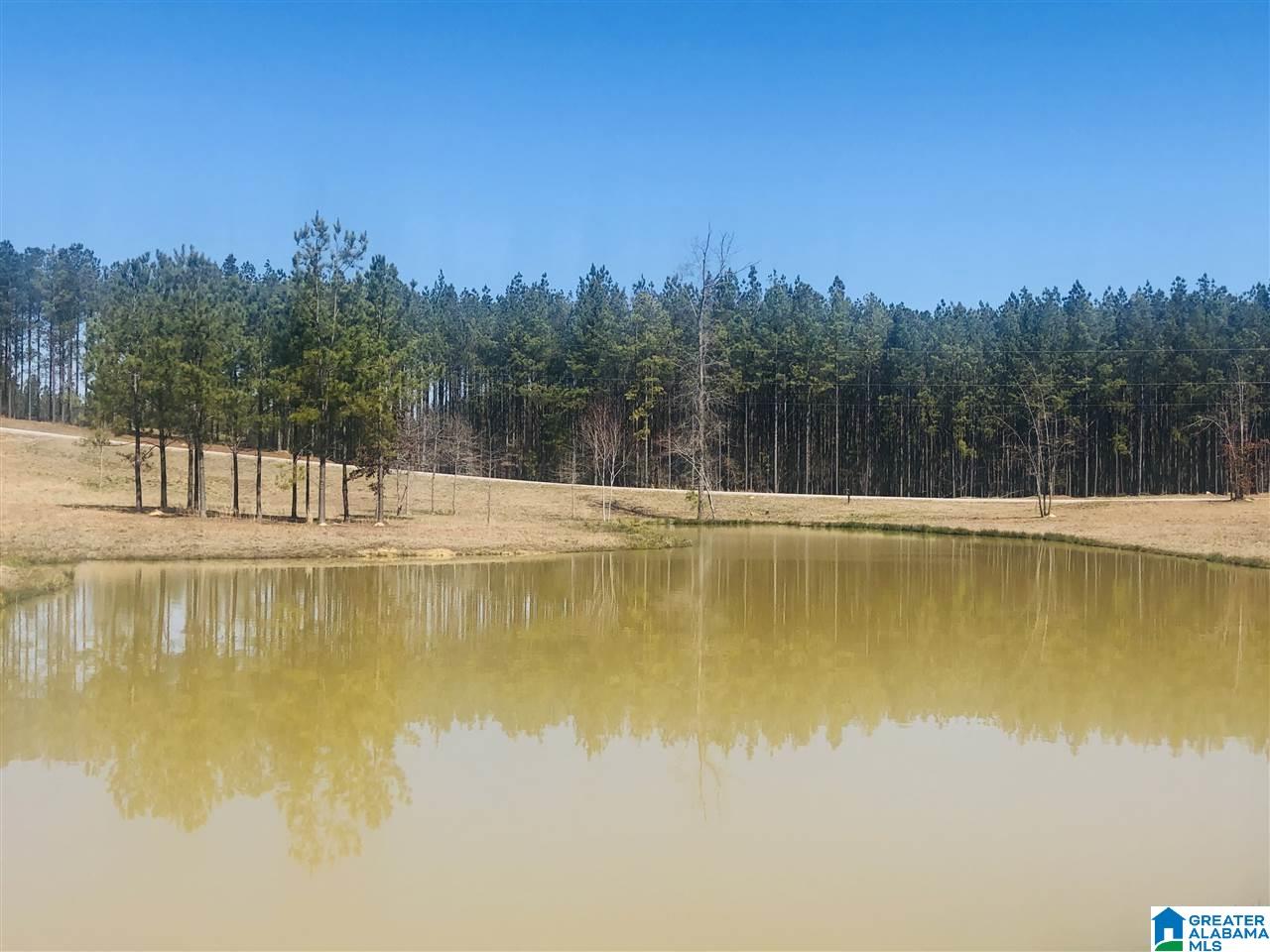 696 Chelsea Farms Road, Unit 11 Chelsea, AL 35043 - Photo 3 of 3