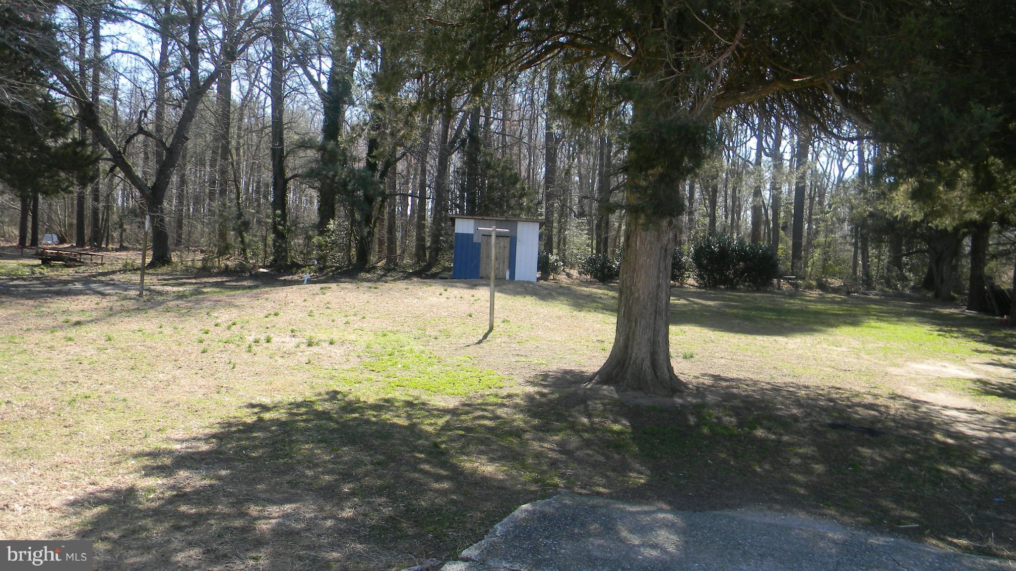28131 Bridgeville Road Federalsburg, MD 21632 - Photo 14 of 16 Exterior (Rear)