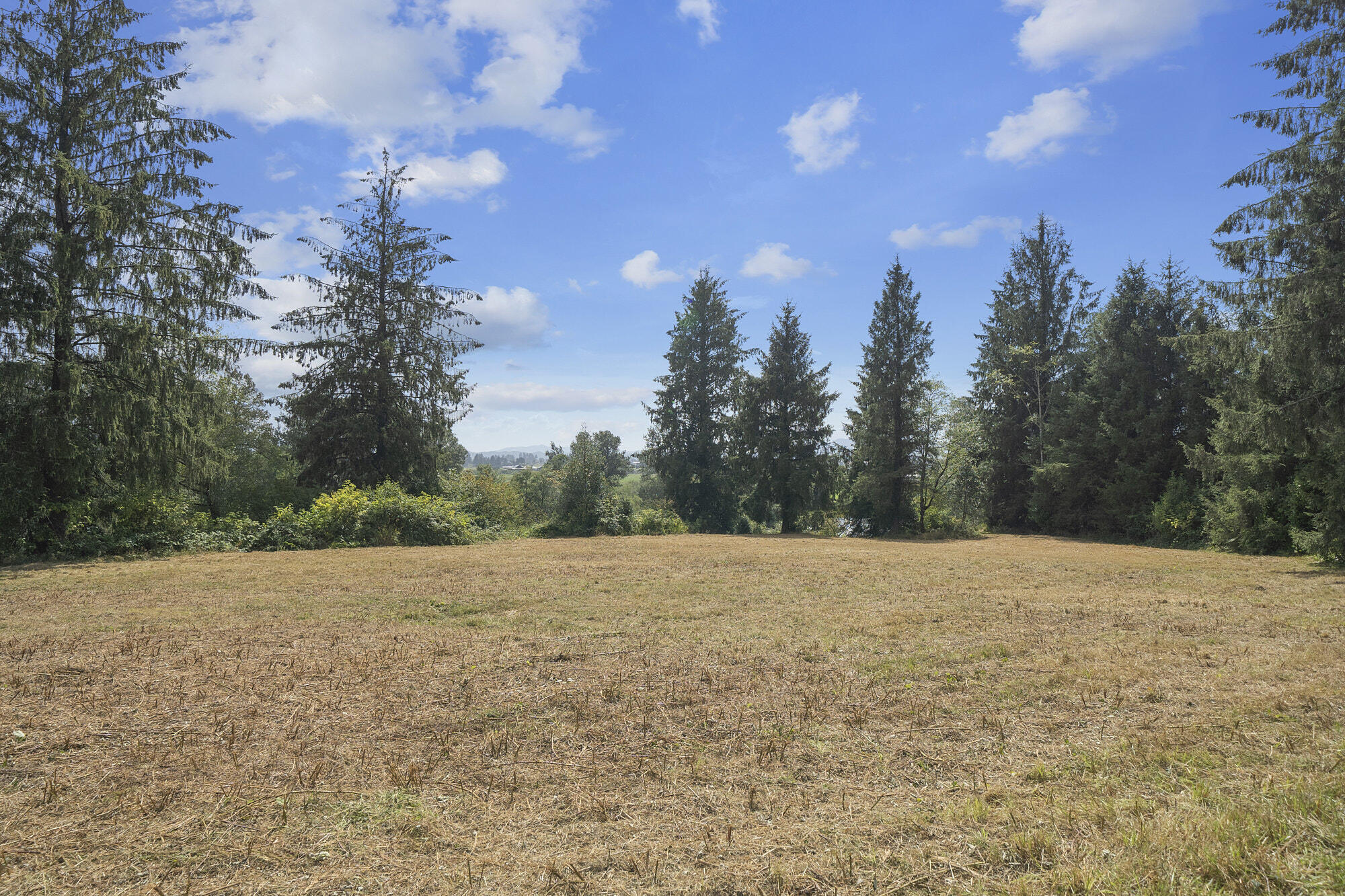 Vl Sollie Smith Road North Tillamook, OR 97141 - Photo 5 of 14 DSC00581