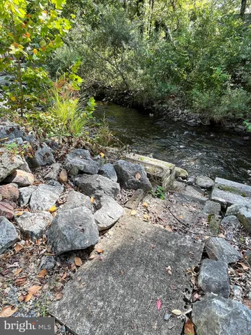 a view of a lake with lots of trees