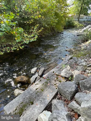 a view of a dry yard with trees and plants