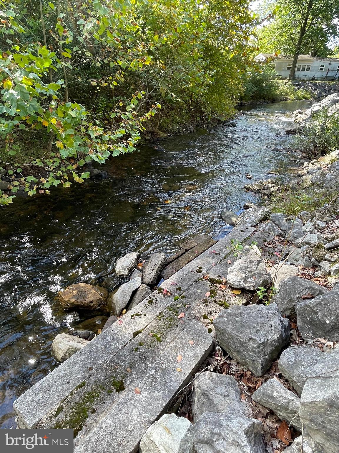 198 Black Gap Road, Unit 56 Fayetteville, PA 17222 - Photo 29 of 30 a view of a dry yard with trees and plants