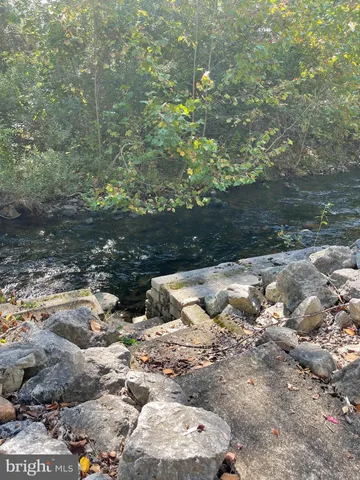 a view of a tree with some trees in the background