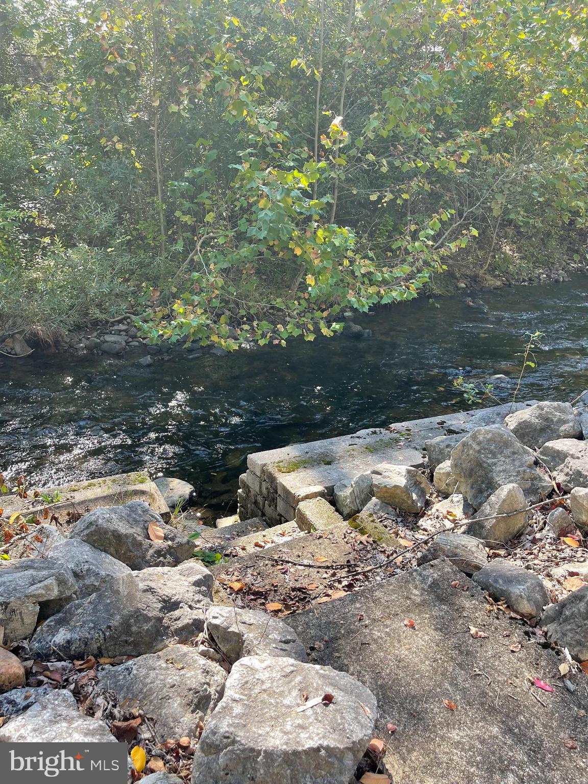 198 Black Gap Road, Unit 56 Fayetteville, PA 17222 - Photo 7 of 30 a view of a tree with some trees in the background
