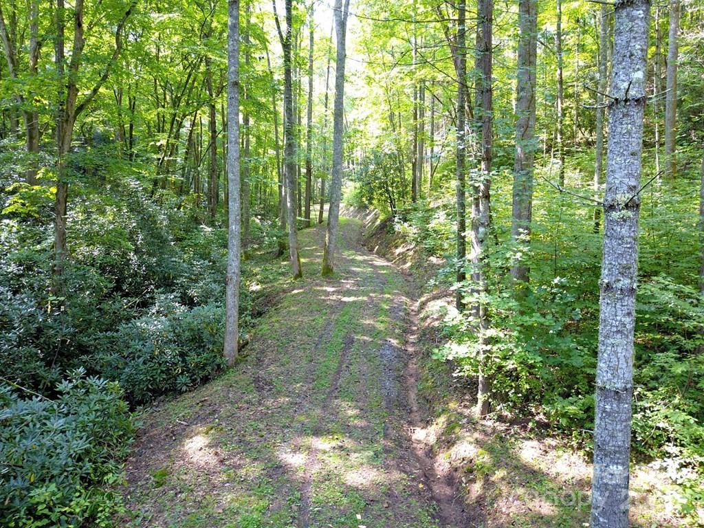 0 Mountain Forest Estate Road Sylva, NC 28779 - Photo 12 of 16 a backyard of a house with lots of green space