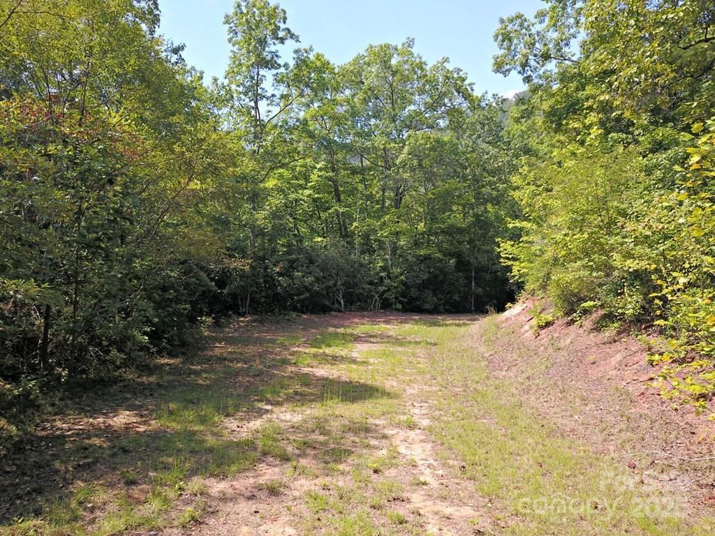 0 Mountain Forest Estate Road Sylva, NC 28779 - Photo 13 of 16 a view of a lake view