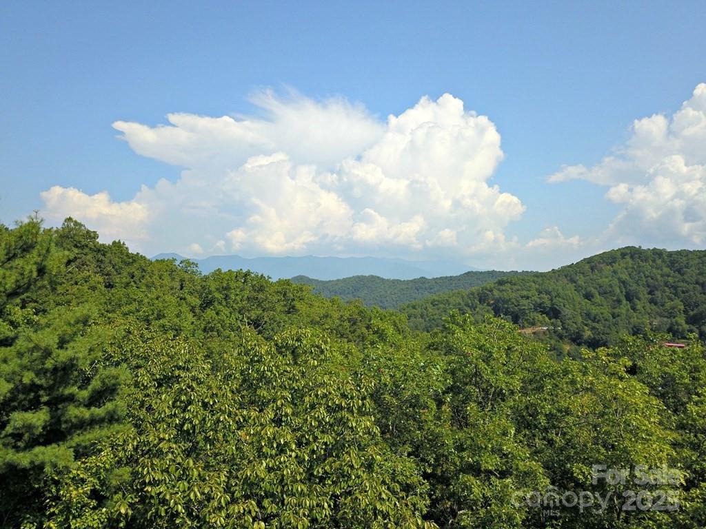0 Mountain Forest Estate Road Sylva, NC 28779 - Photo 14 of 16