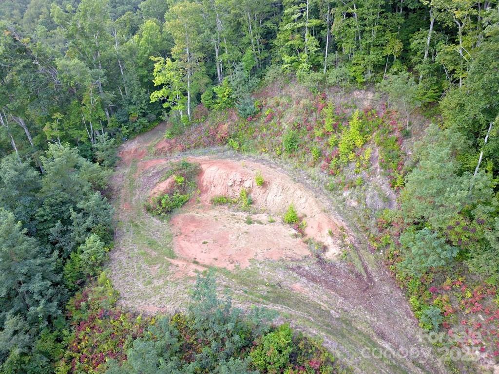 0 Mountain Forest Estate Road Sylva, NC 28779 - Photo 15 of 16 a view of a pathway with a yard