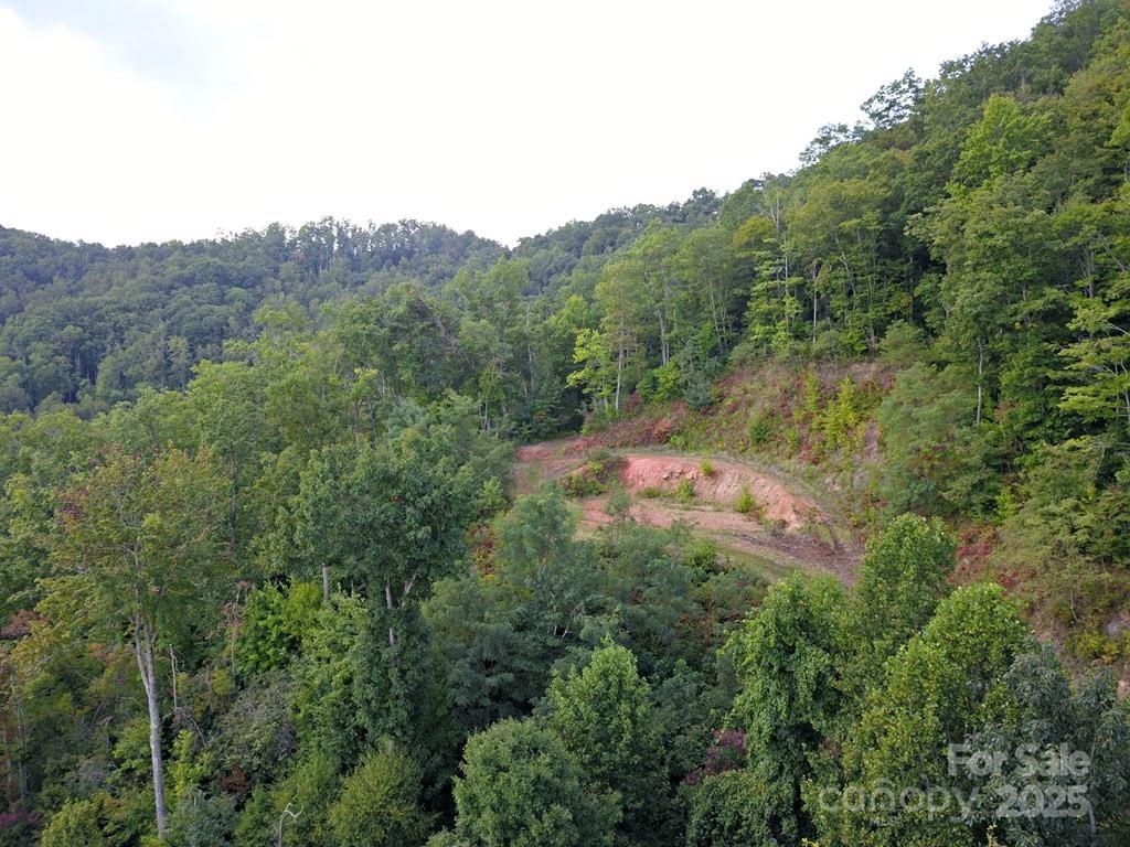 0 Mountain Forest Estate Road Sylva, NC 28779 - Photo 16 of 16 a view of a field