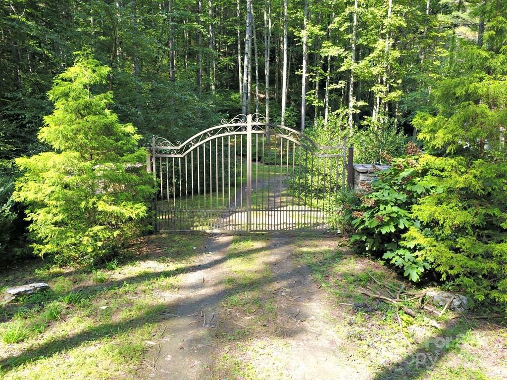 0 Mountain Forest Estate Road Sylva, NC 28779 - Photo 3 of 16 a view of a yard with plants and large trees