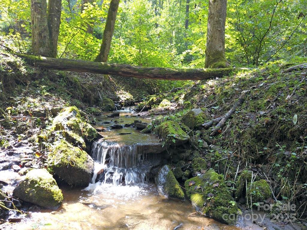 0 Mountain Forest Estate Road Sylva, NC 28779 - Photo 8 of 16 a view of a garden with plants