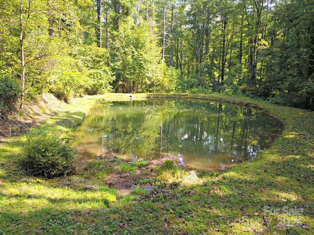 0 Mountain Forest Estate Road Sylva, NC 28779 - Photo 9 of 16 a view of lake with green space