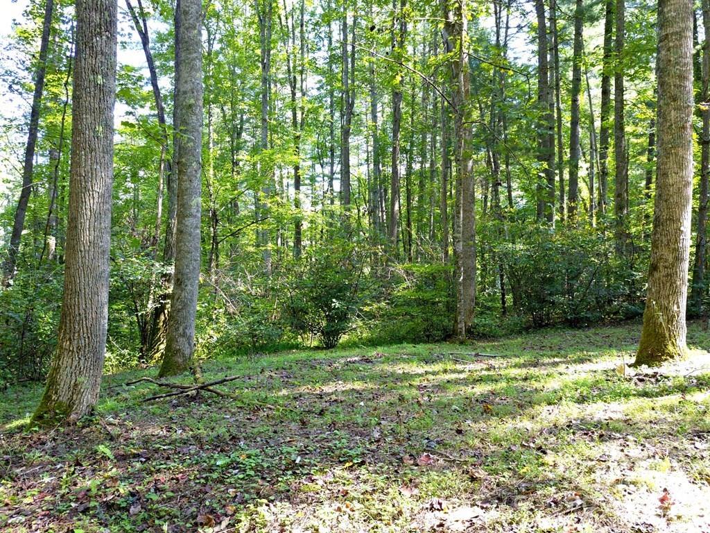 0 Mountain Forest Estate Road Sylva, NC 28779 - Photo 10 of 16 a view of outdoor space with a lake view