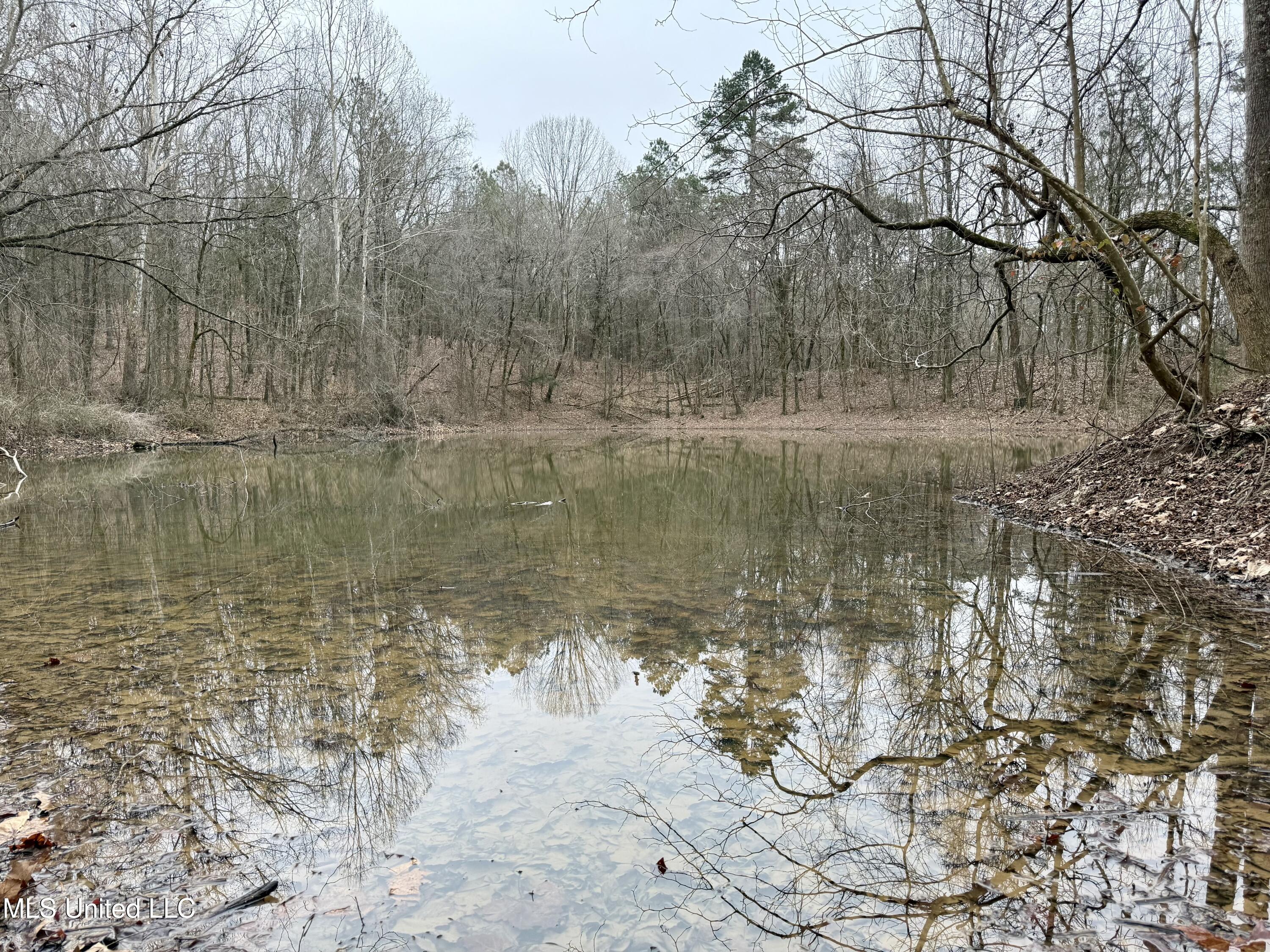 Laws Hill Road Holly Springs, MS 38635 - Photo 11 of 24 IMG_0367