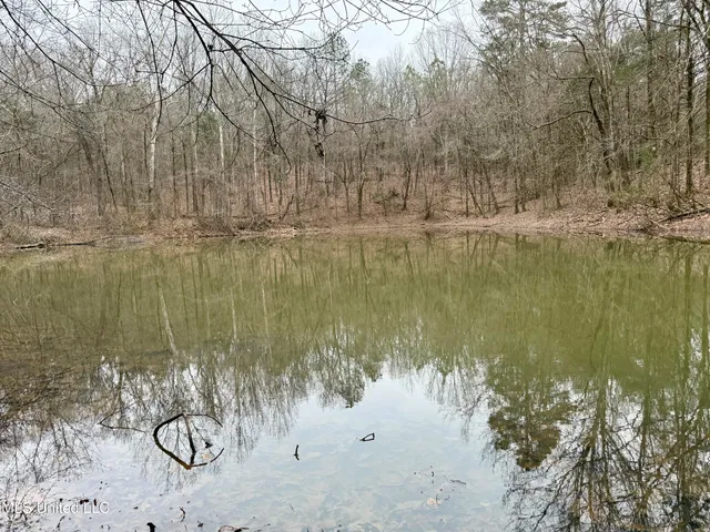 $241,000 | Laws Hill Road, Holly Springs, MS 38635