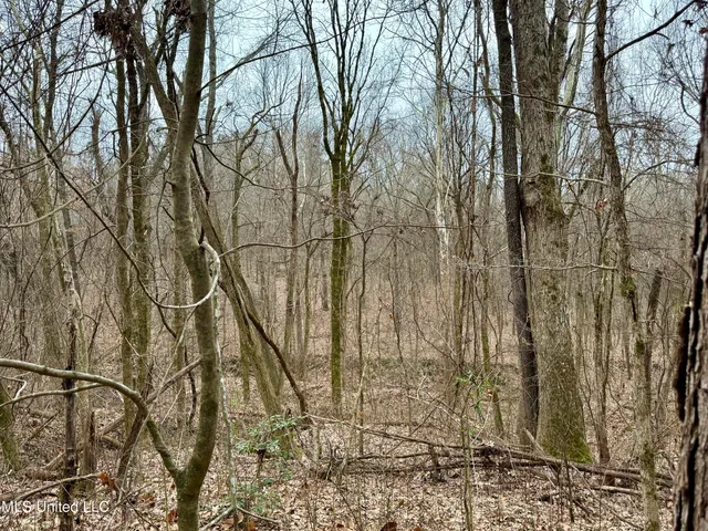 $241,000 | Laws Hill Road, Holly Springs, MS 38635