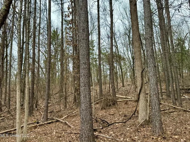 $241,000 | Laws Hill Road, Holly Springs, MS 38635