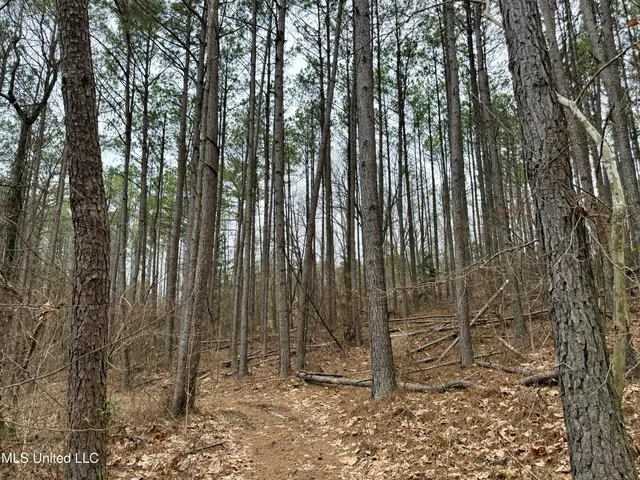 $241,000 | Laws Hill Road, Holly Springs, MS 38635