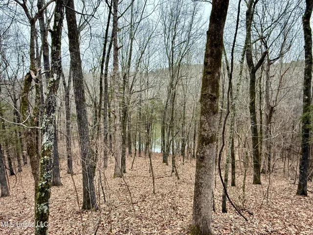 $241,000 | Laws Hill Road, Holly Springs, MS 38635