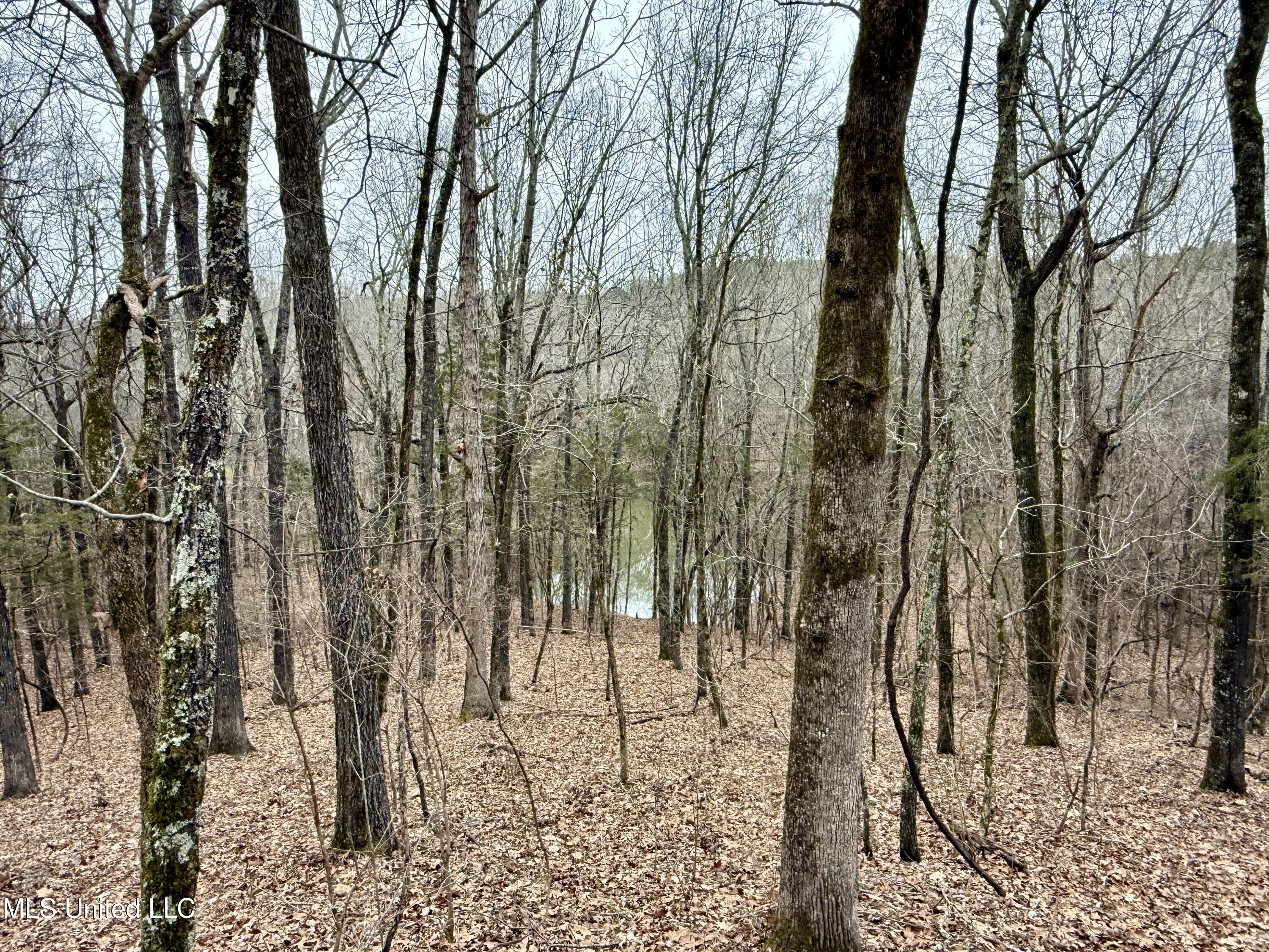 Laws Hill Road Holly Springs, MS 38635 - Photo 16 of 24 IMG_0375