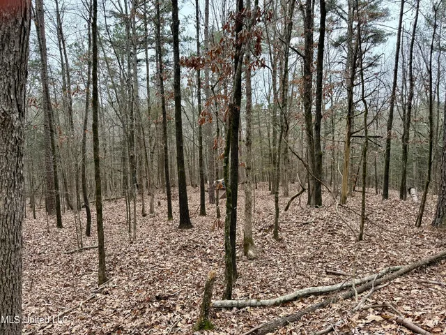 $241,000 | Laws Hill Road, Holly Springs, MS 38635