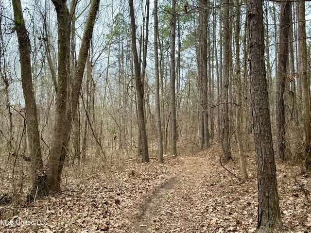 $241,000 | Laws Hill Road, Holly Springs, MS 38635