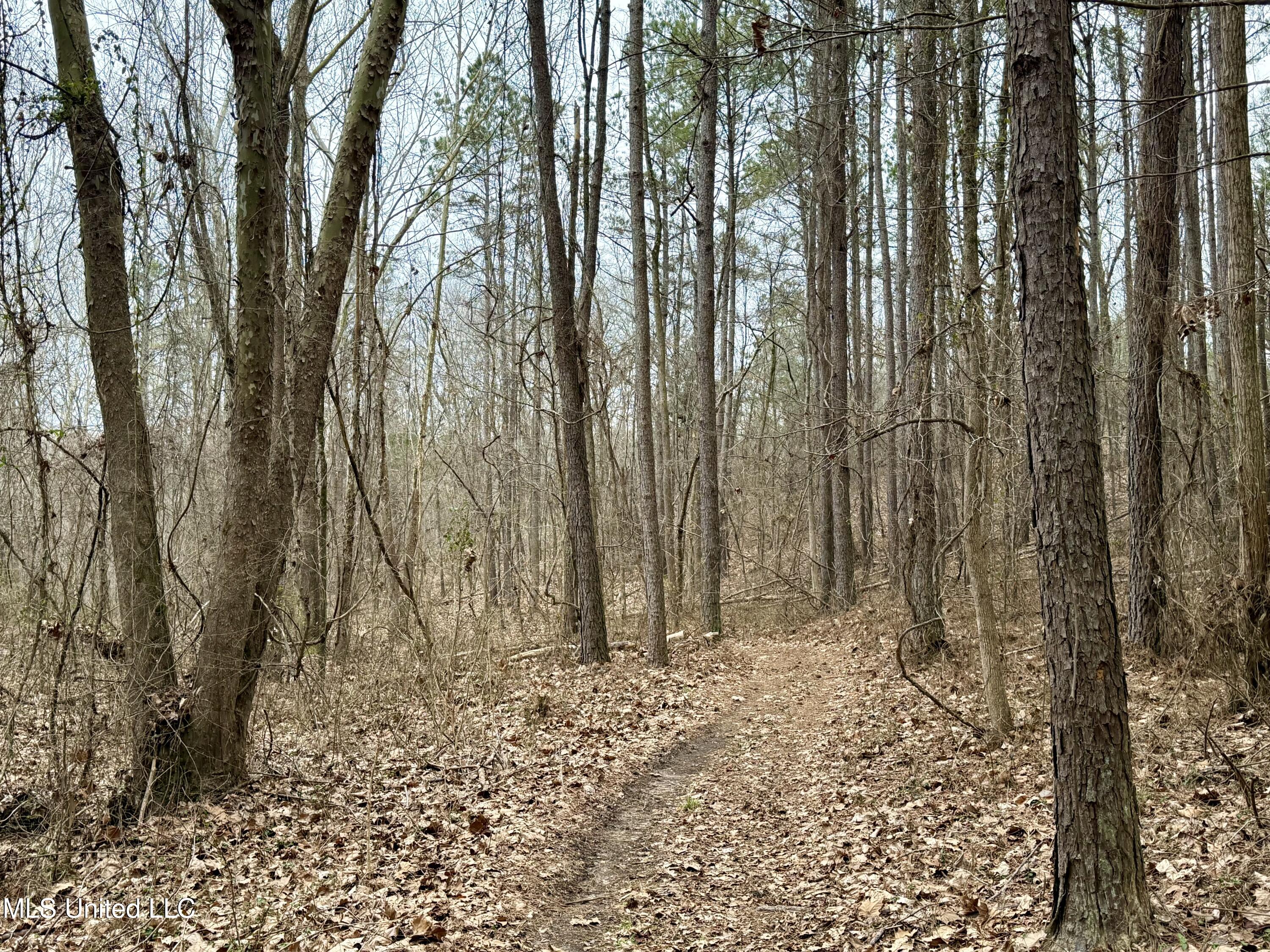 Laws Hill Road Holly Springs, MS 38635 - Photo 18 of 24 IMG_0362