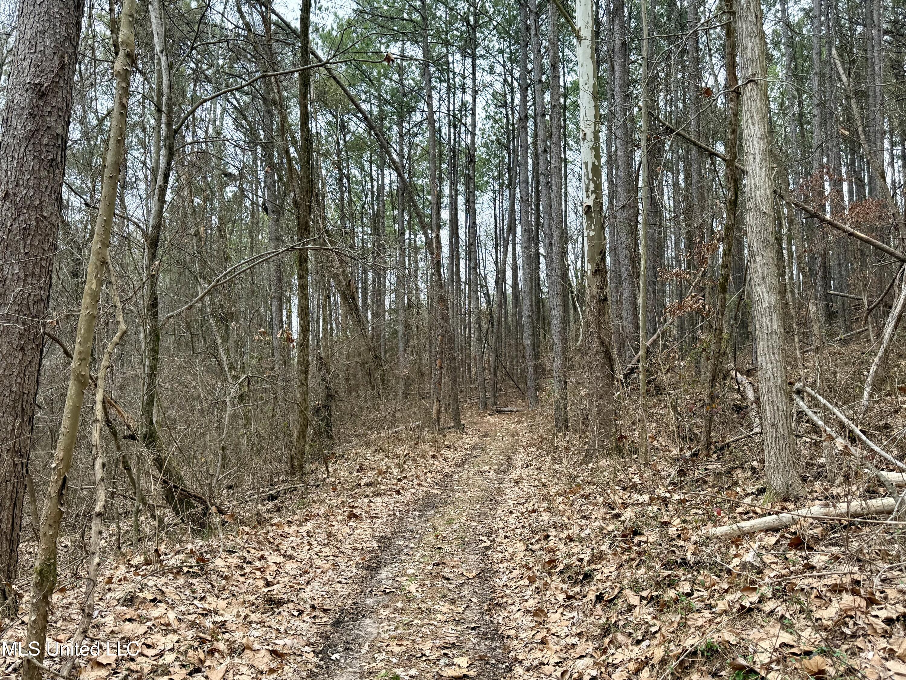 Laws Hill Road Holly Springs, MS 38635 - Photo 20 of 24 IMG_0354