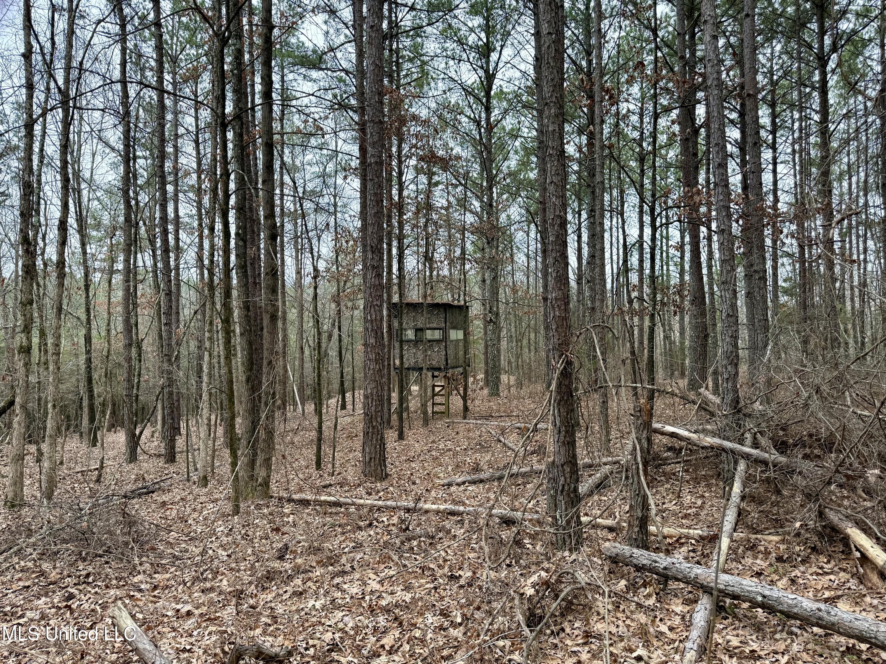 Laws Hill Road Holly Springs, MS 38635 - Photo 2 of 24 IMG_0349