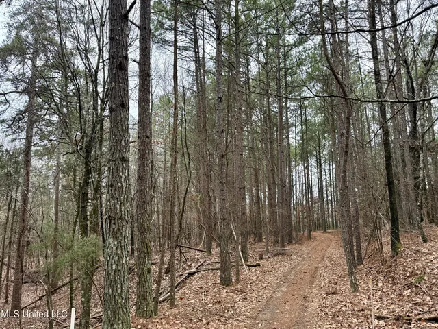 $241,000 | Laws Hill Road, Holly Springs, MS 38635