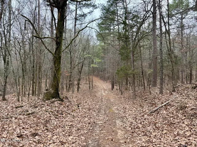 $241,000 | Laws Hill Road, Holly Springs, MS 38635