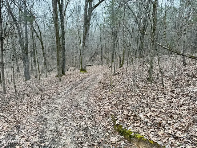 $241,000 | Laws Hill Road, Holly Springs, MS 38635