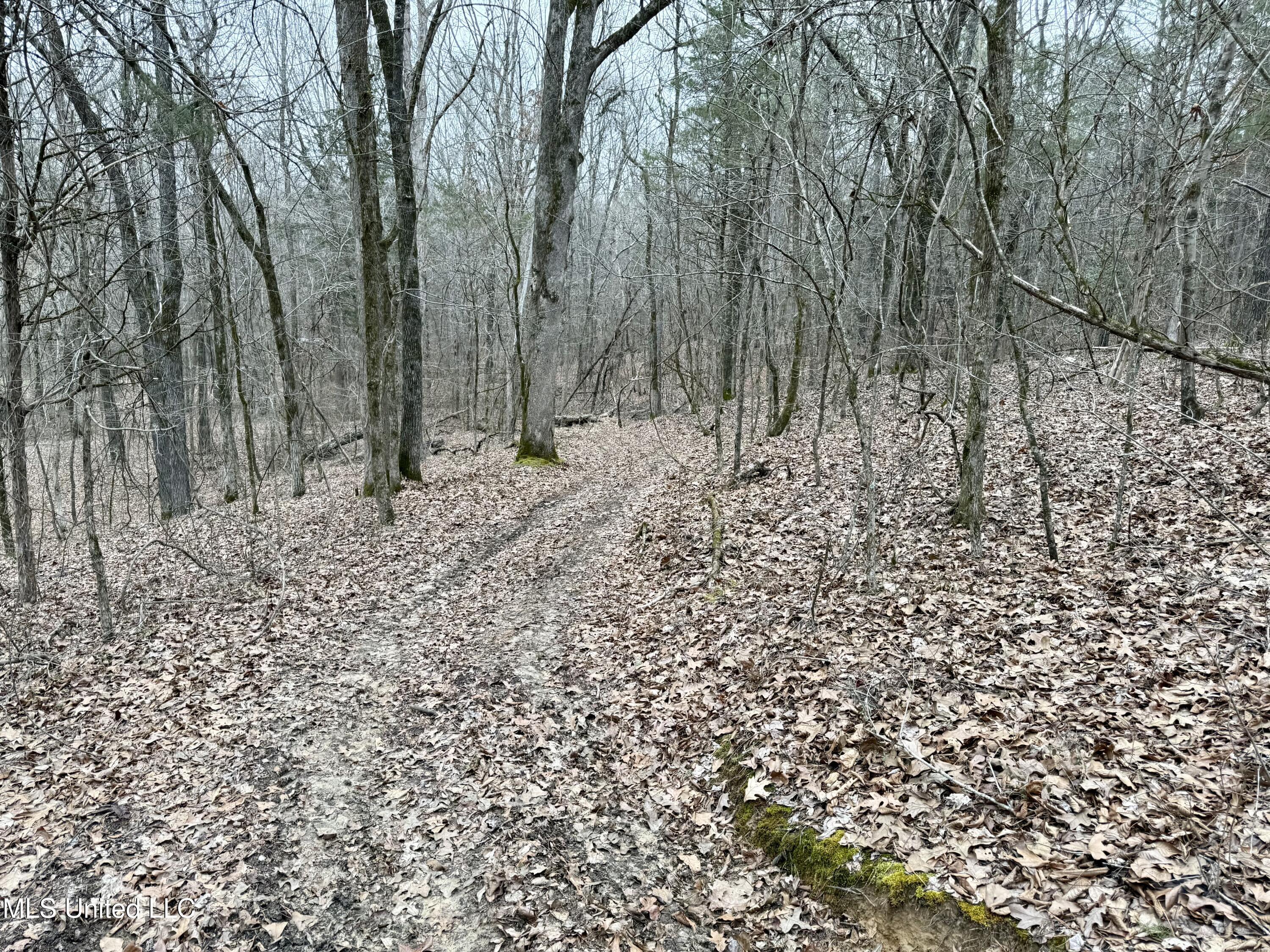Laws Hill Road Holly Springs, MS 38635 - Photo 23 of 24 IMG_0378