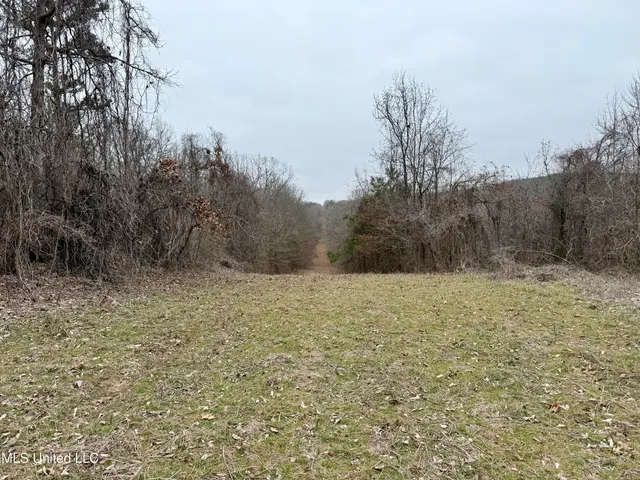 $241,000 | Laws Hill Road, Holly Springs, MS 38635