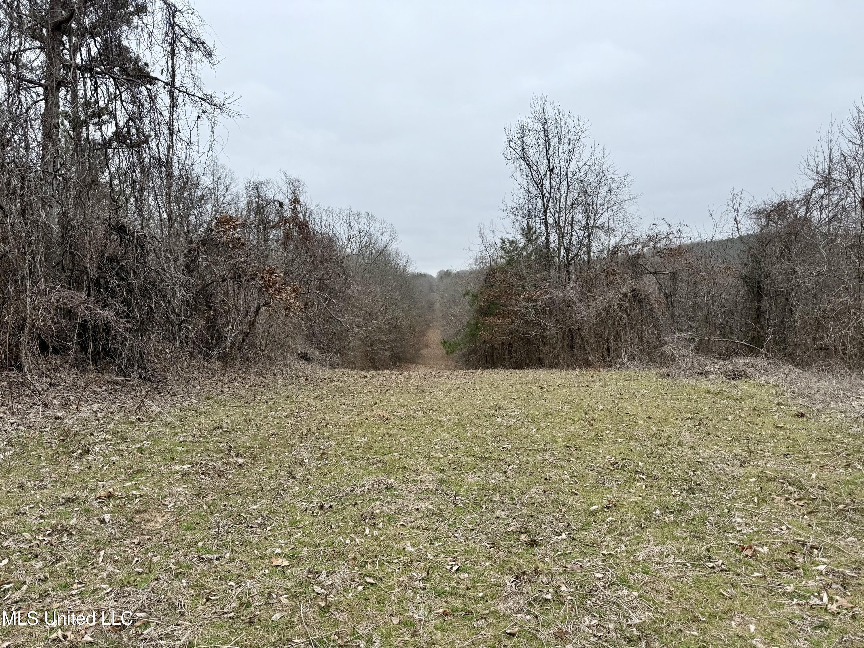 Laws Hill Road Holly Springs, MS 38635 - Photo 3 of 24 IMG_0372