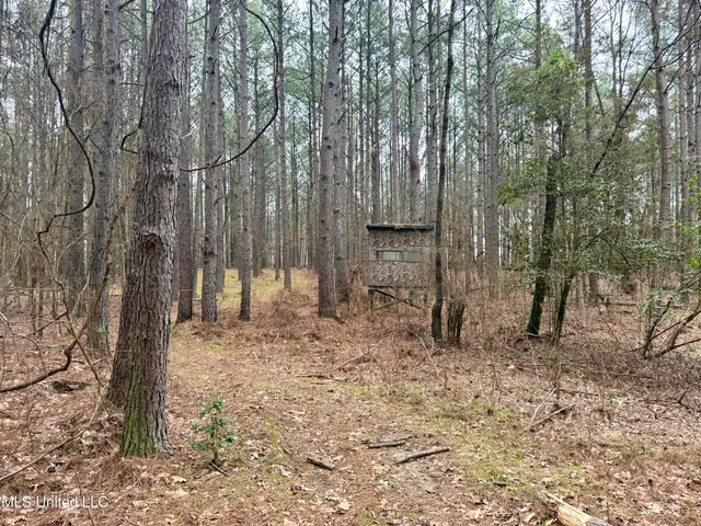 $241,000 | Laws Hill Road, Holly Springs, MS 38635
