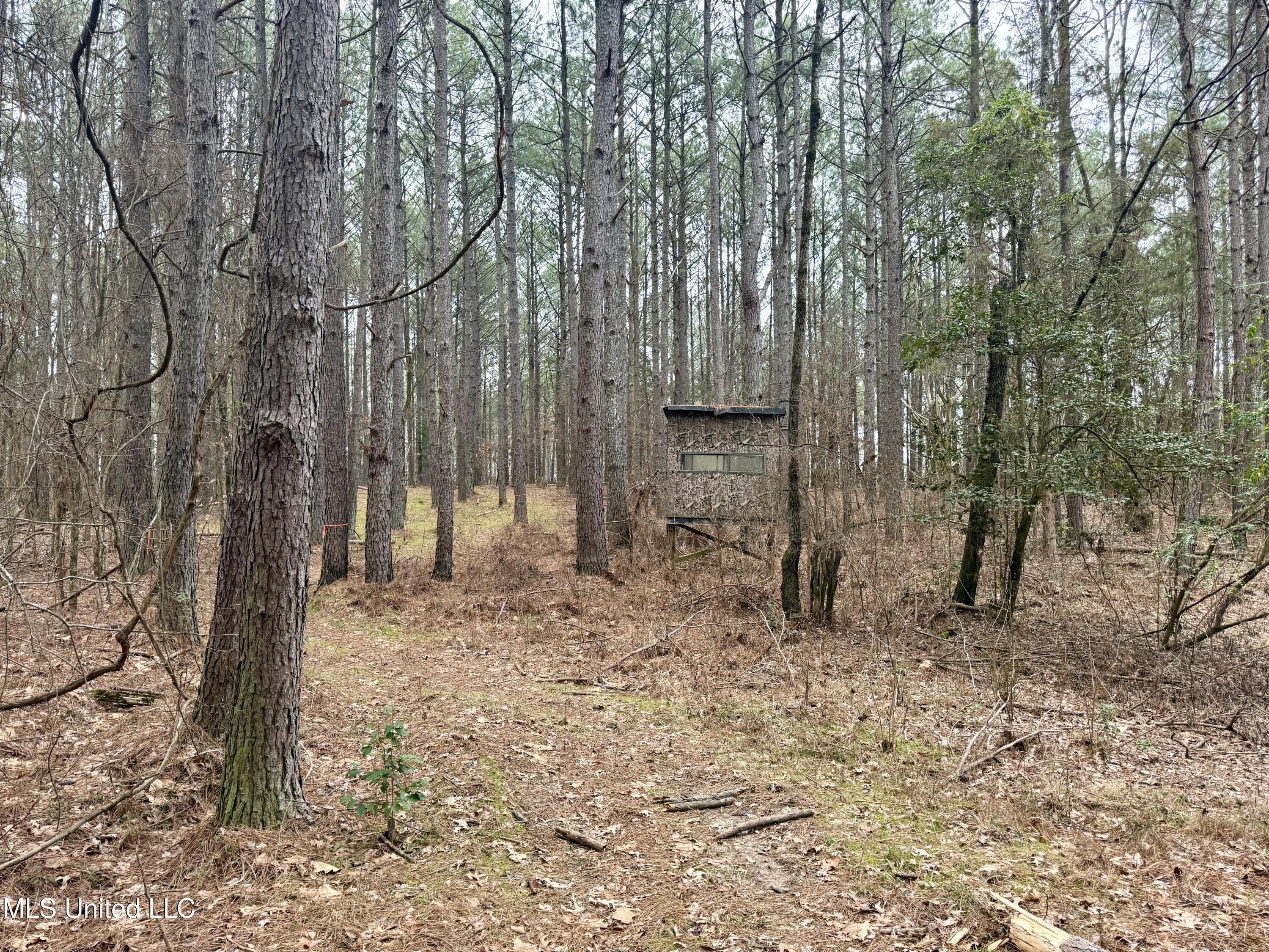 Laws Hill Road Holly Springs, MS 38635 - Photo 4 of 24 IMG_0383