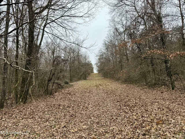 $241,000 | Laws Hill Road, Holly Springs, MS 38635