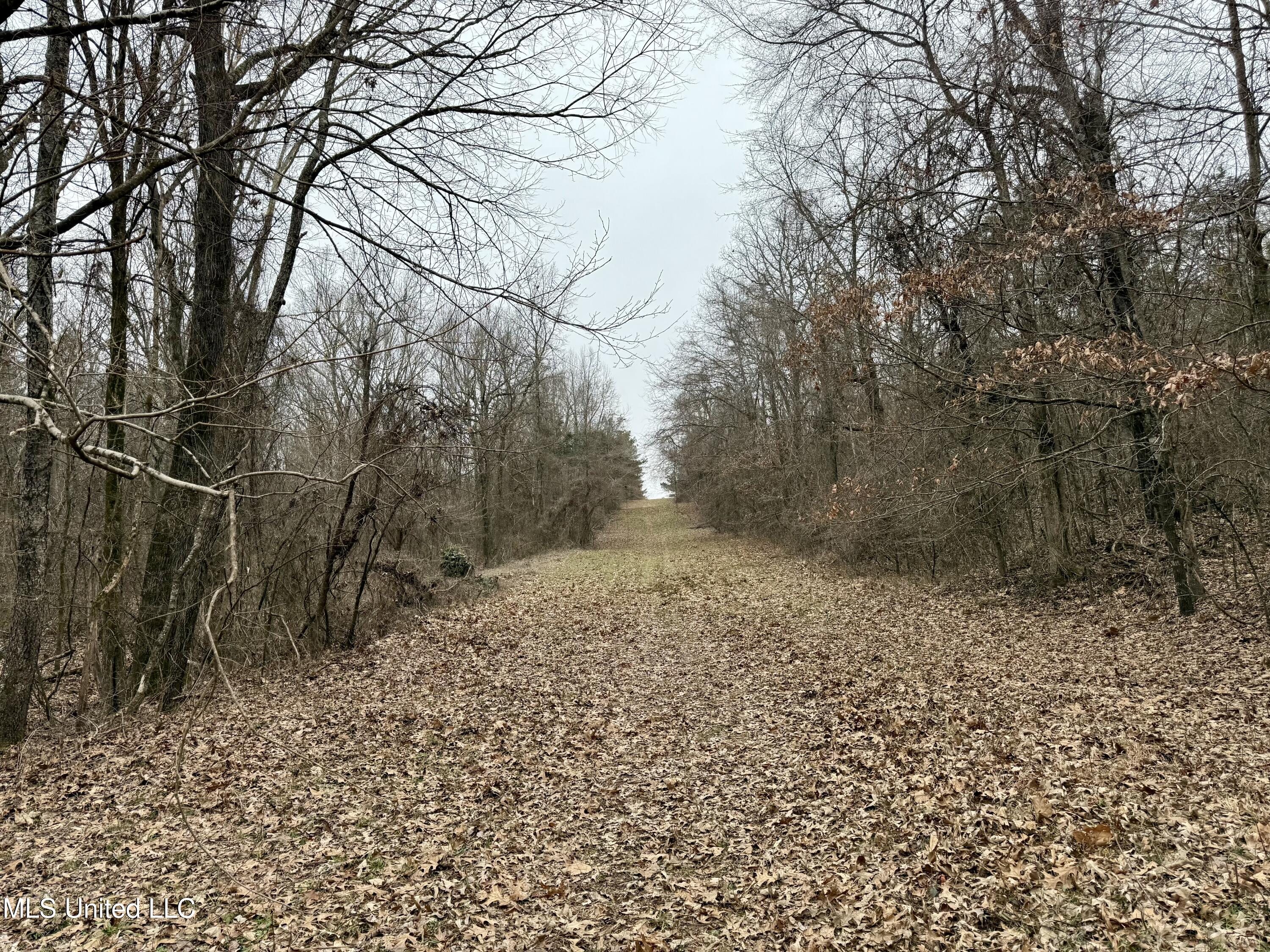 Laws Hill Road Holly Springs, MS 38635 - Photo 5 of 24 IMG_0371