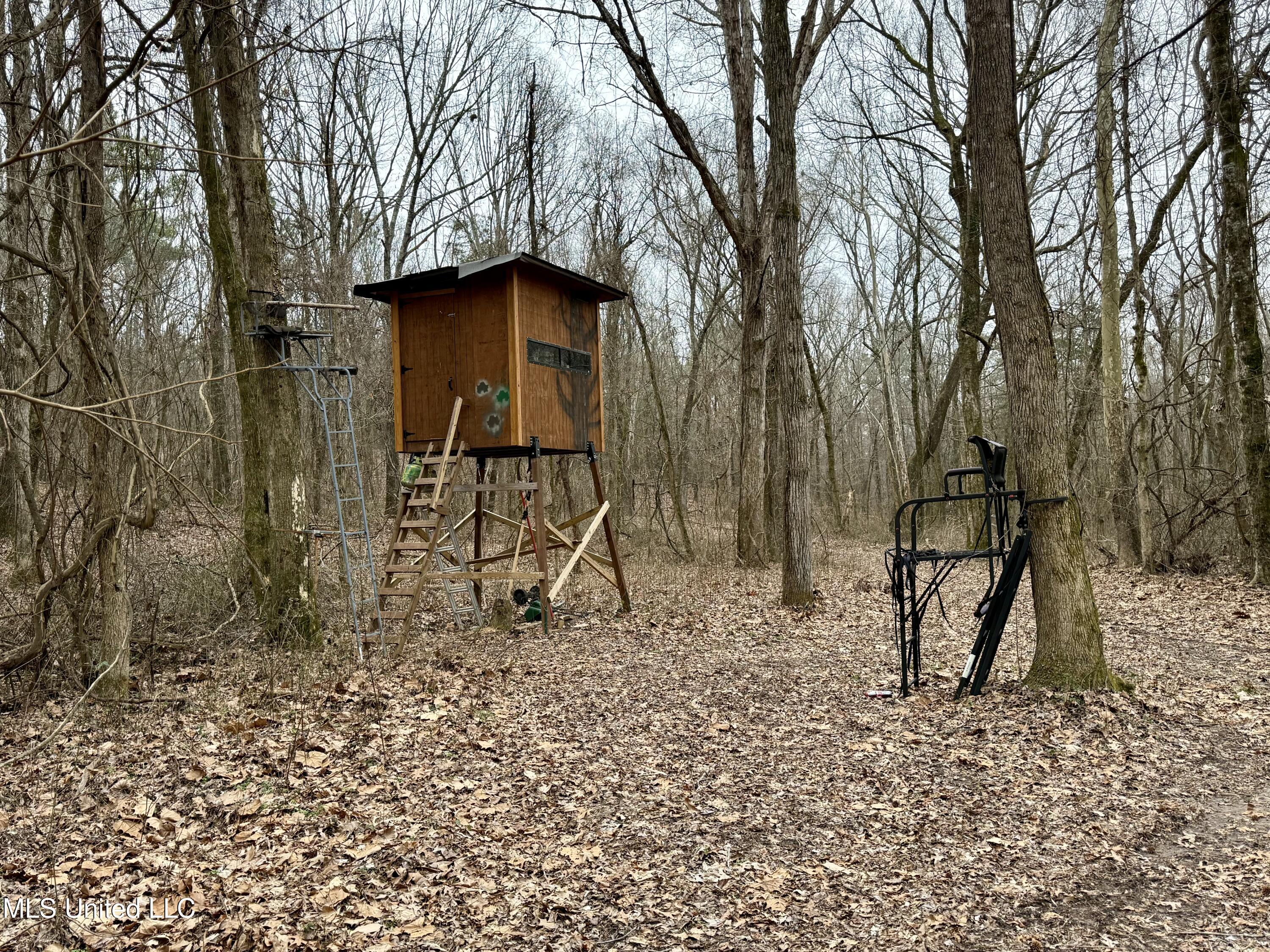 Laws Hill Road Holly Springs, MS 38635 - Photo 6 of 24 IMG_0365