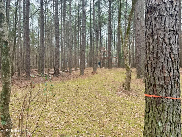 $241,000 | Laws Hill Road, Holly Springs, MS 38635