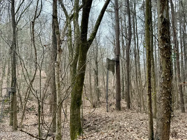 $241,000 | Laws Hill Road, Holly Springs, MS 38635