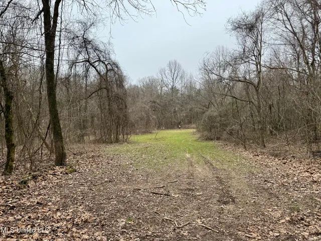 $241,000 | Laws Hill Road, Holly Springs, MS 38635