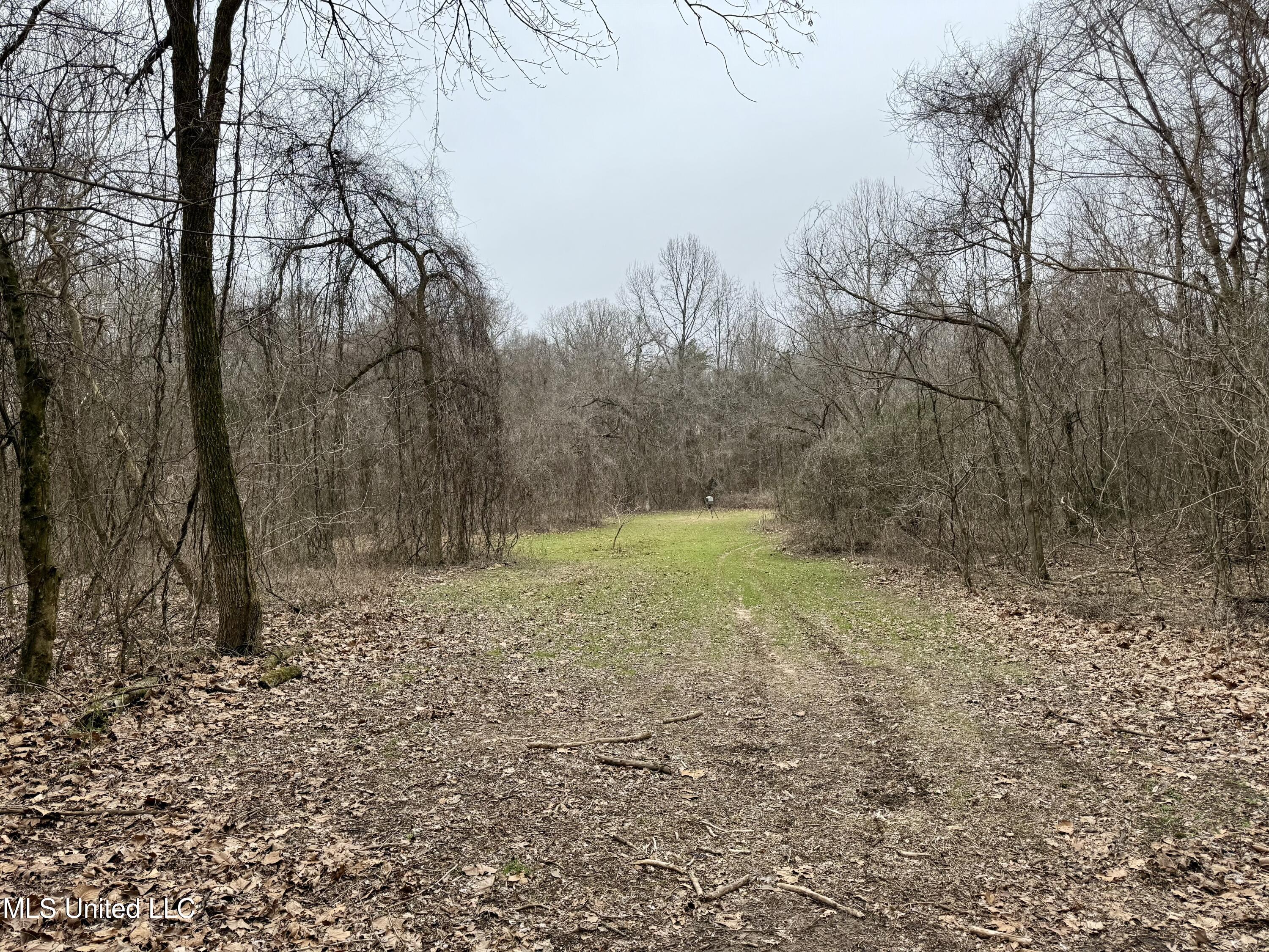 Laws Hill Road Holly Springs, MS 38635 - Photo 9 of 24 IMG_0366