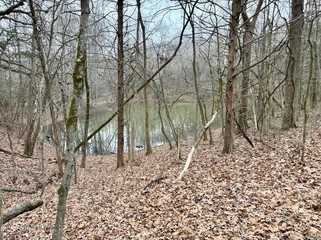 $241,000 | Laws Hill Road, Holly Springs, MS 38635